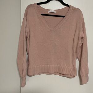 Everlane pink v-neck sweater